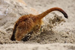 The Search For Health – Your Either Digging A Hole Or Building A Mountain